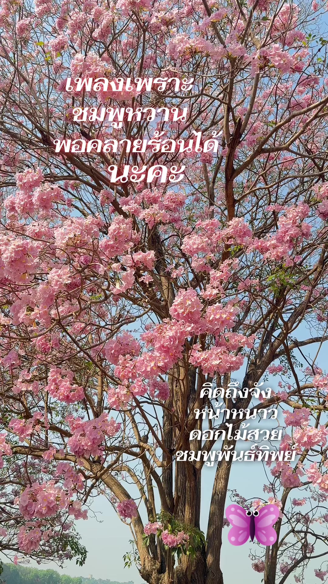 @Natty..สุขใจไปกับ &ldquo;พี่นัท&rdquo;