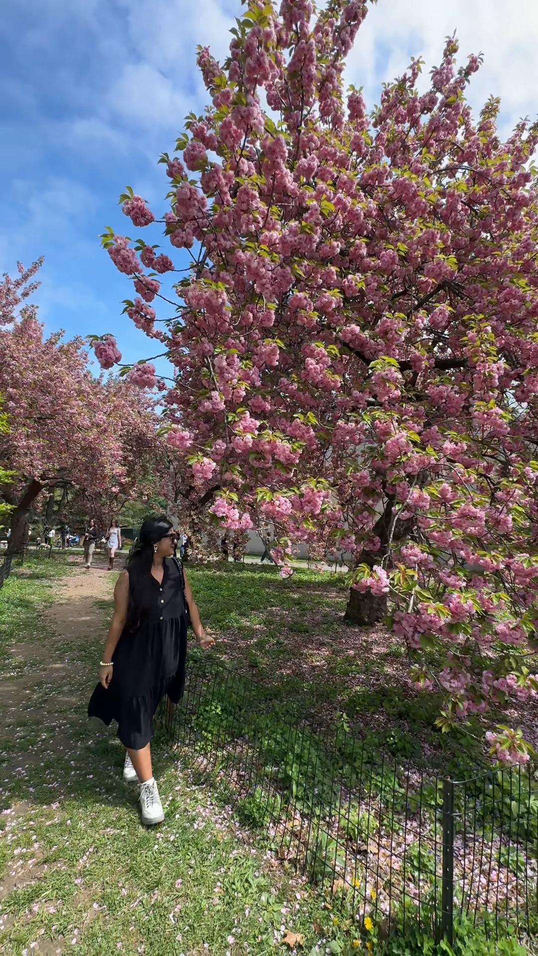 @Ranjita Shrestha🌸