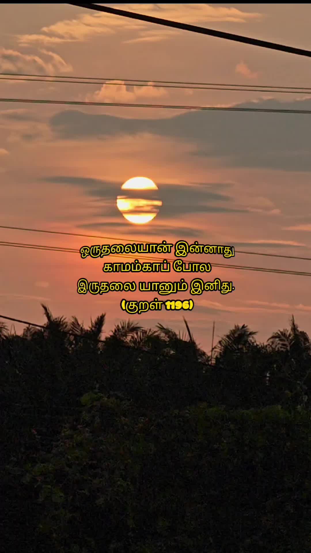 @๐จ๐๐๐๐๐๐ ๐ค๐
