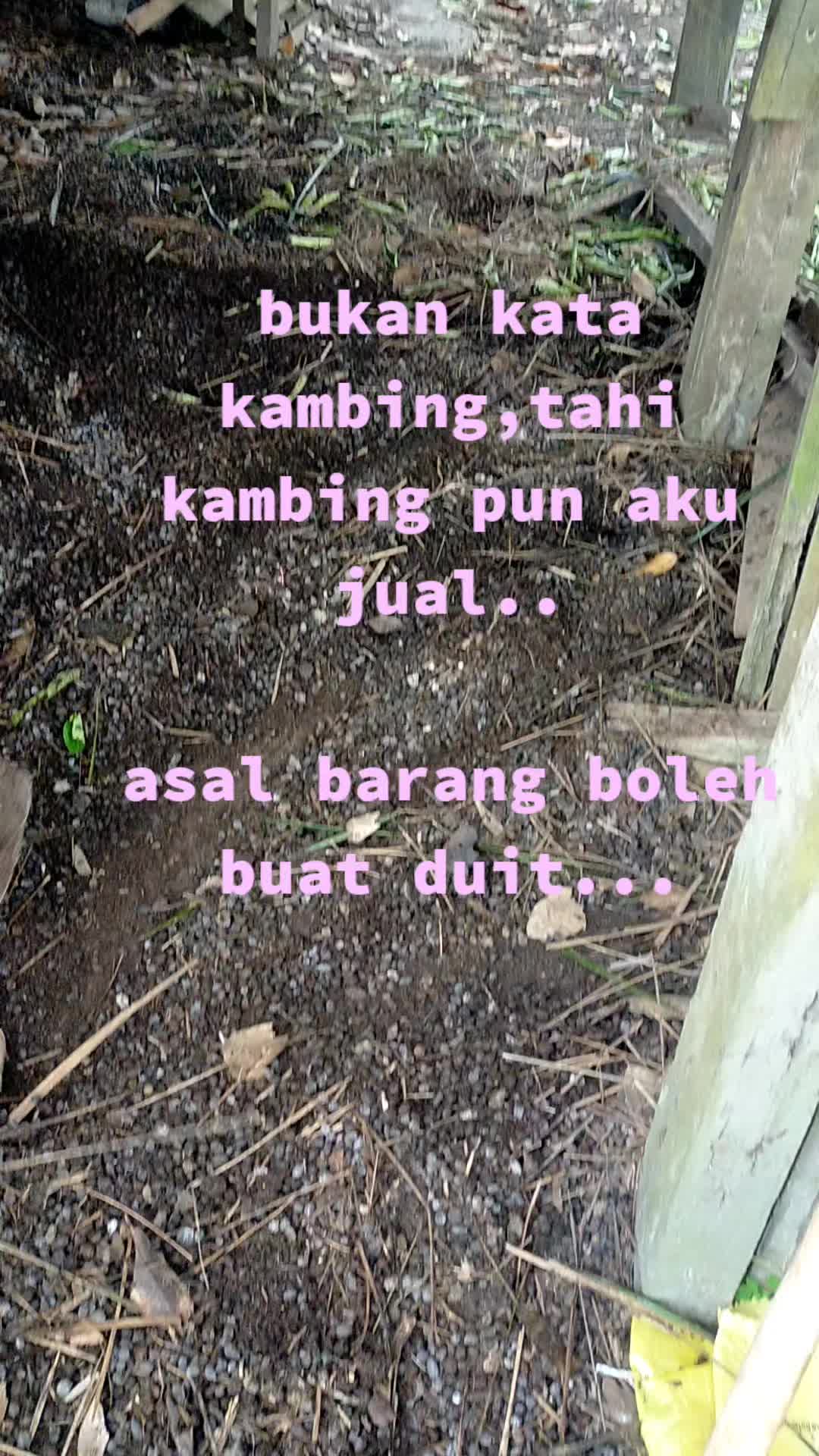 @Bro Izam
