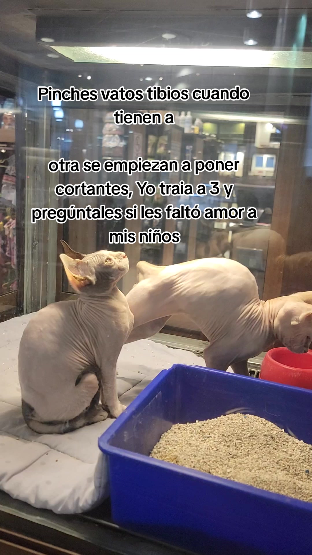 @Laurita5