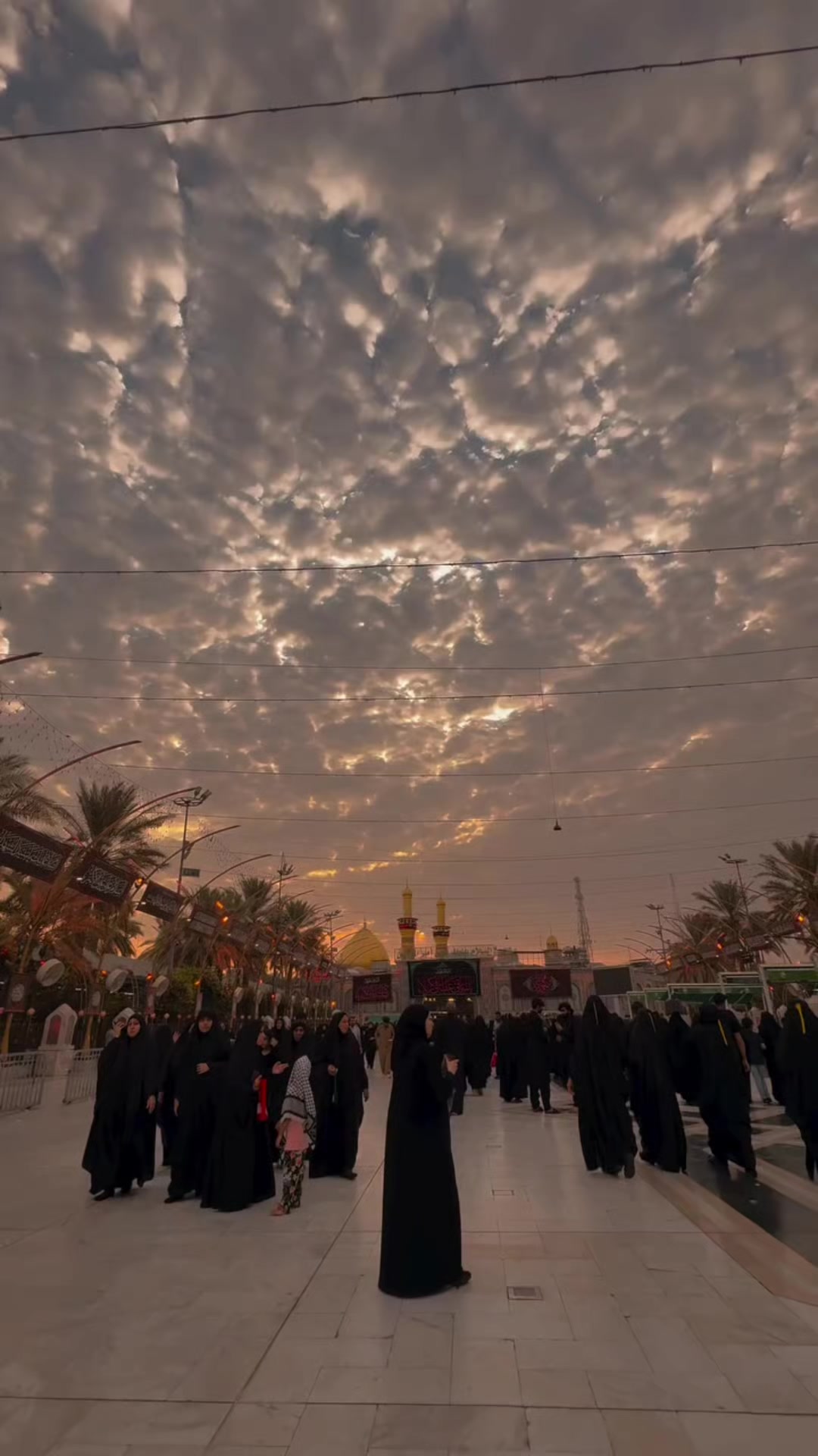 @پاسبان مہدی❤️🩹