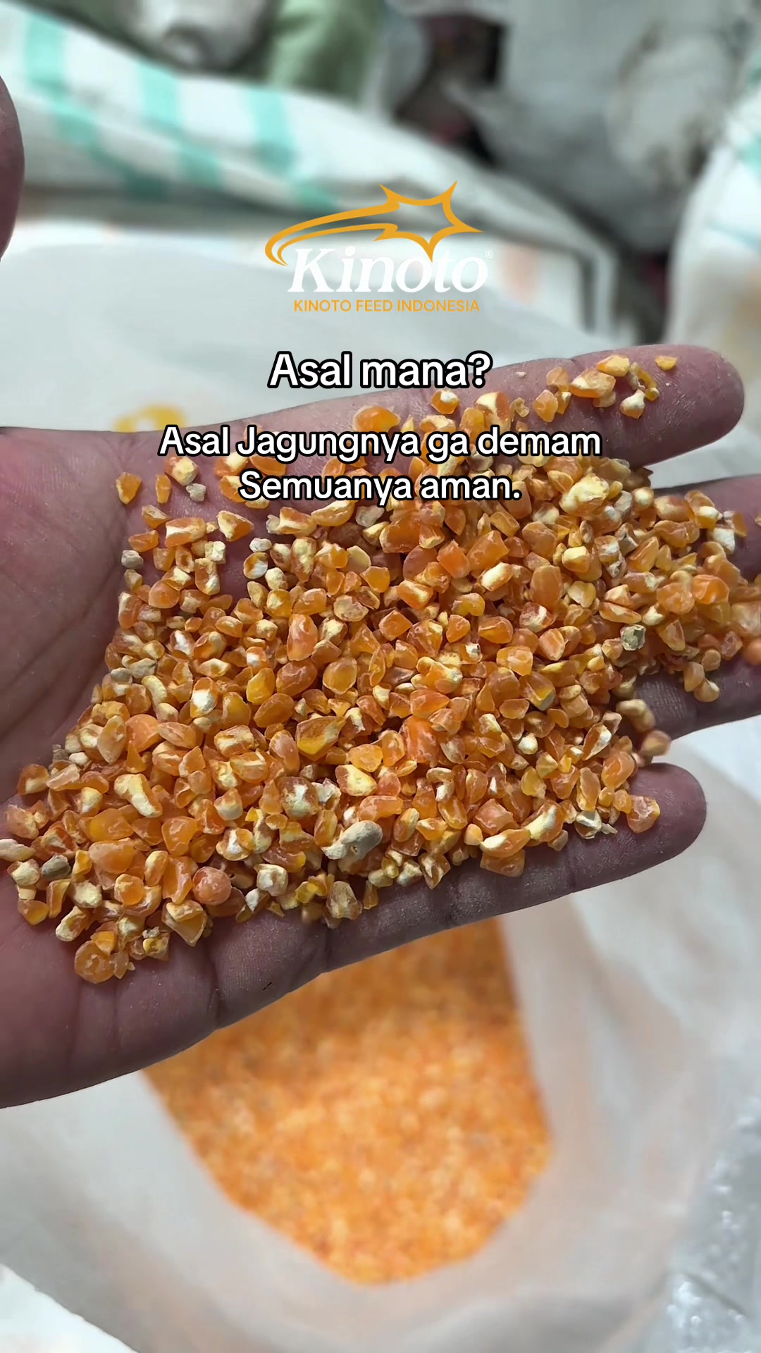@CV. KINOTO FEED INDONESIA