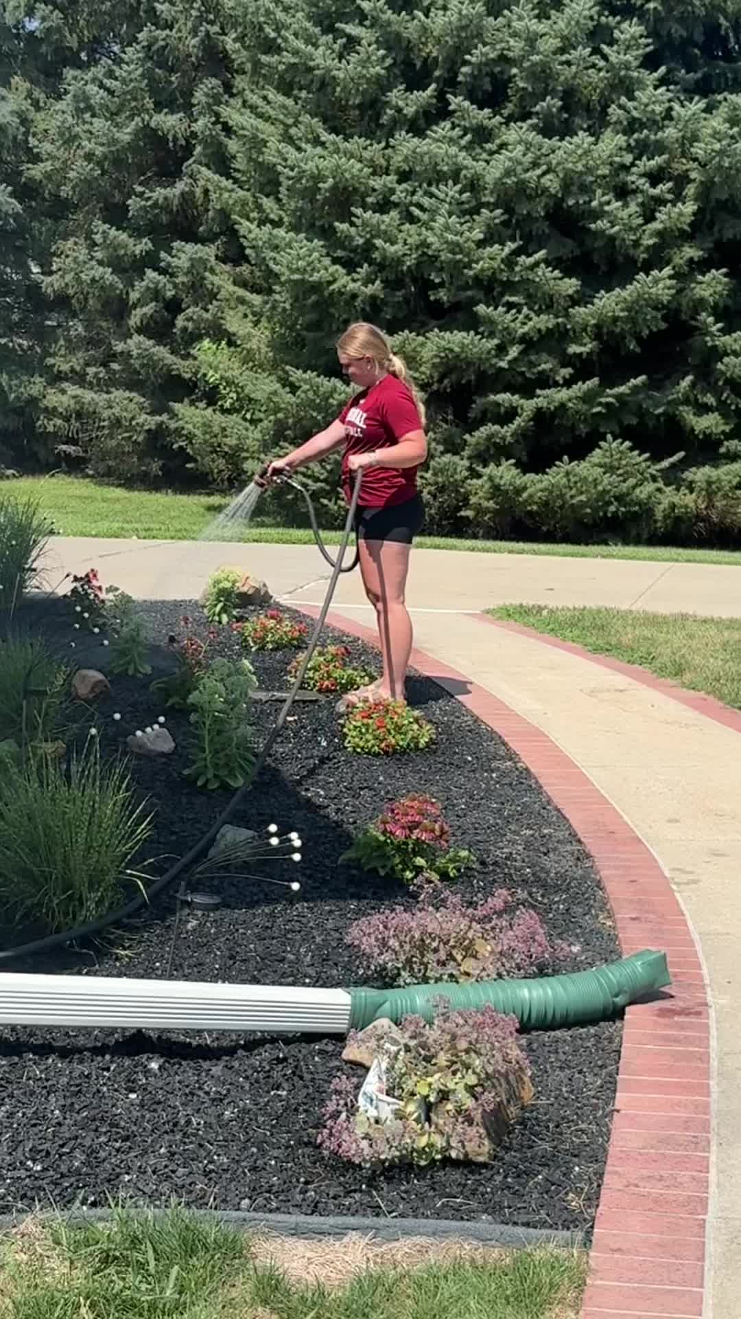 @AmbushGeer