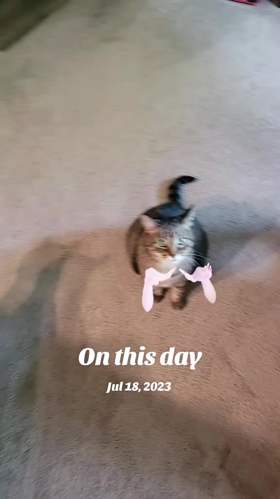 @Day_ Dreamer_44