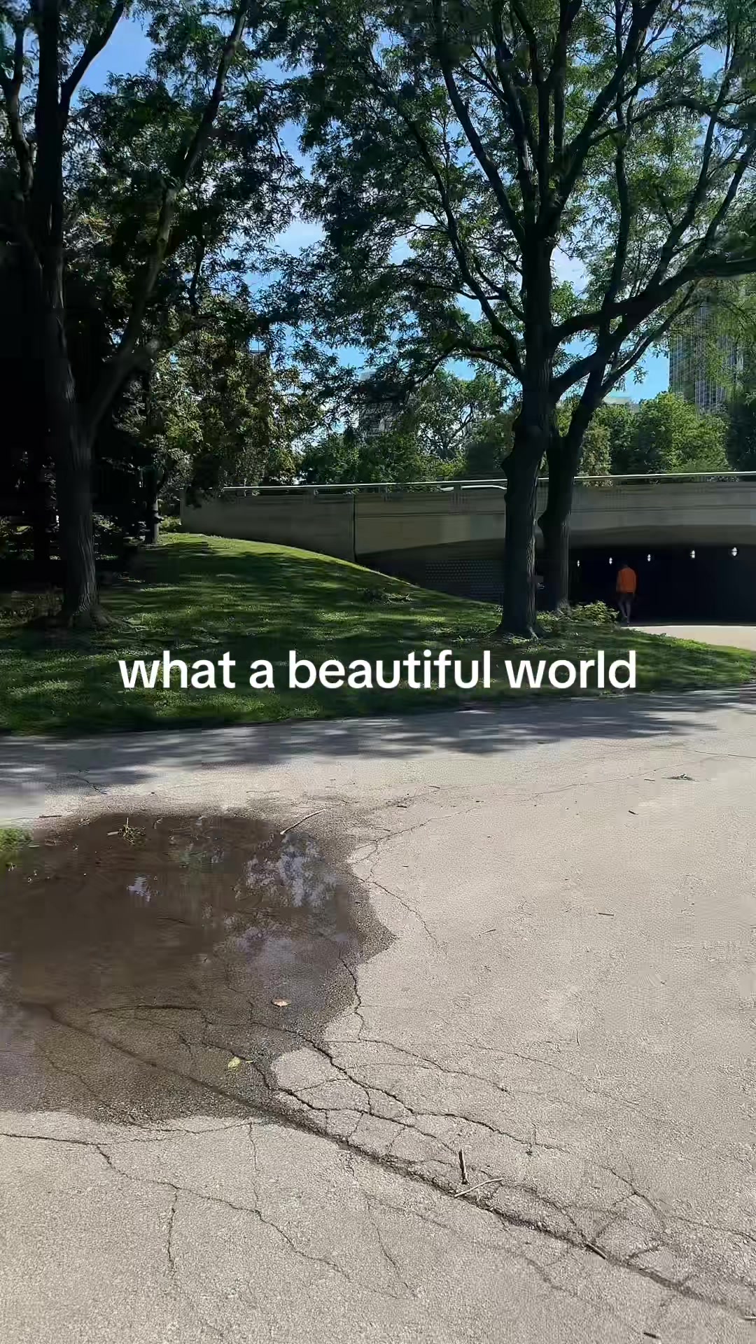@trentspiegelmusic