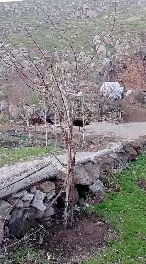 @sürgün hayat