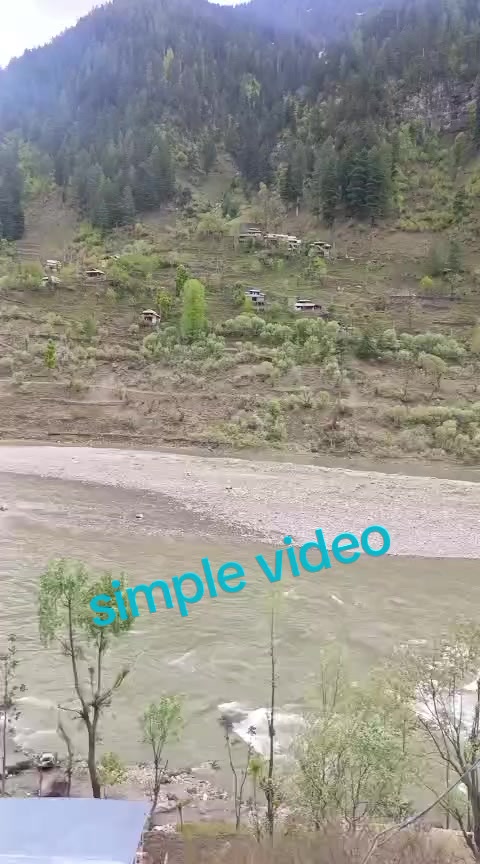 @kashmiri girl