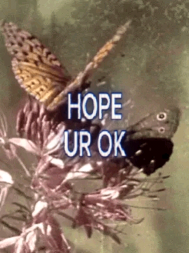 @Matty ( <★ )