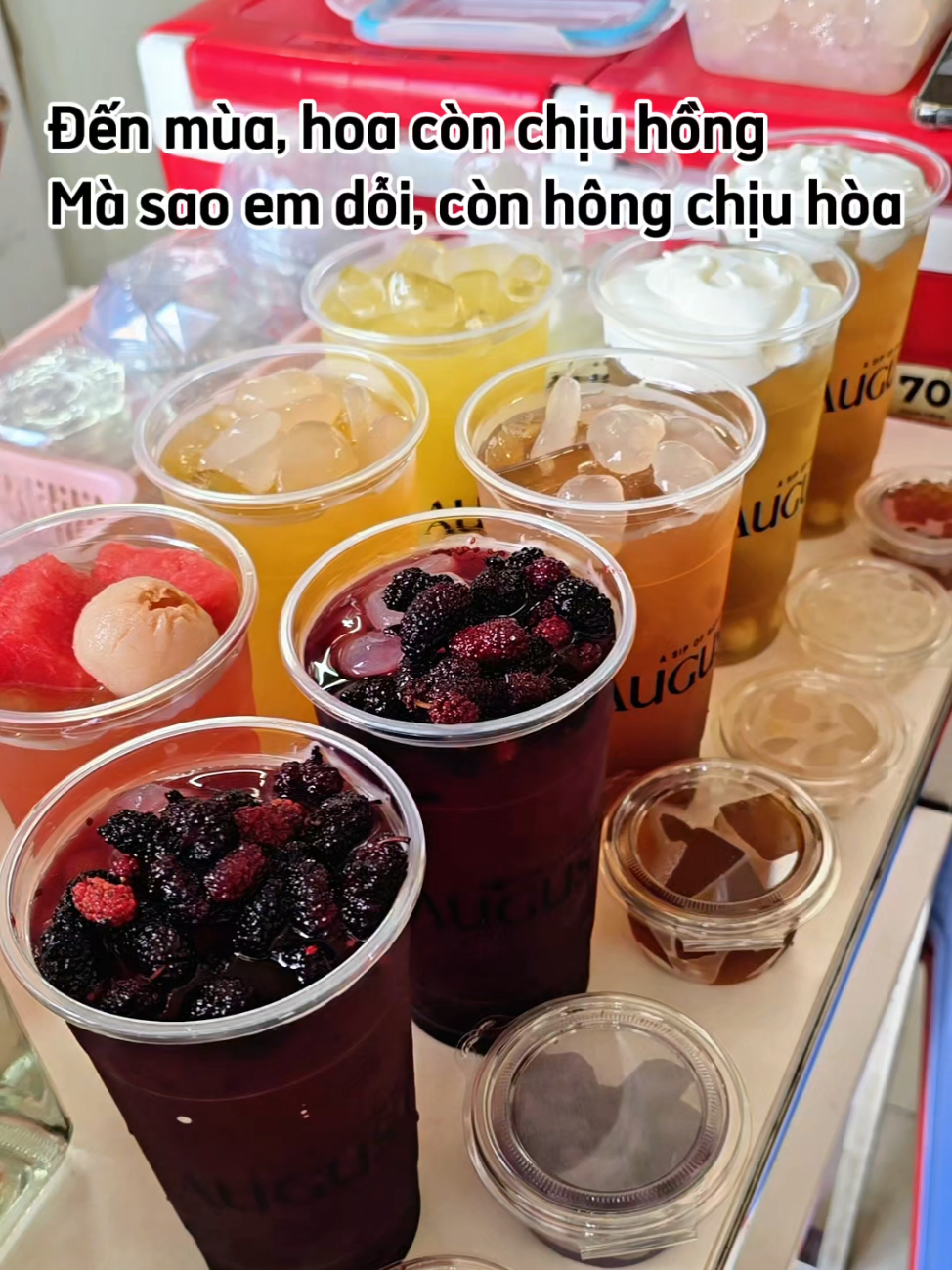 @August Milk Tea