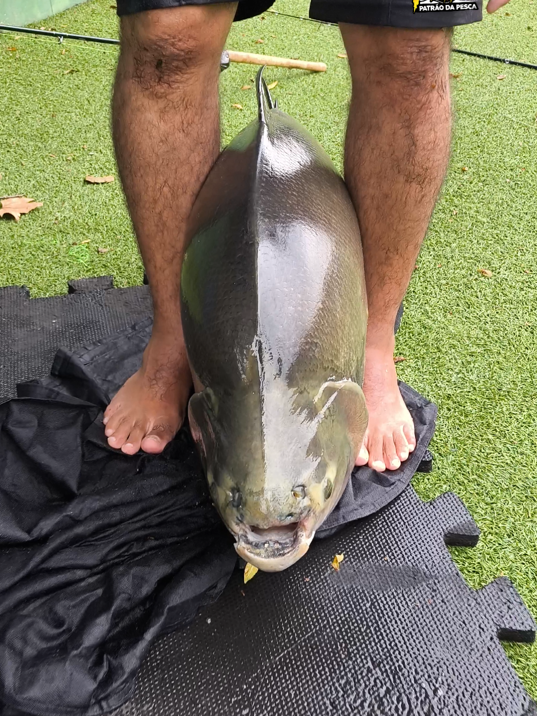 @Patr&atilde;o da Pesca