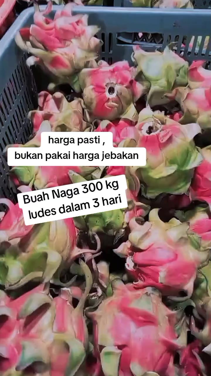 @Buah Packing Medan