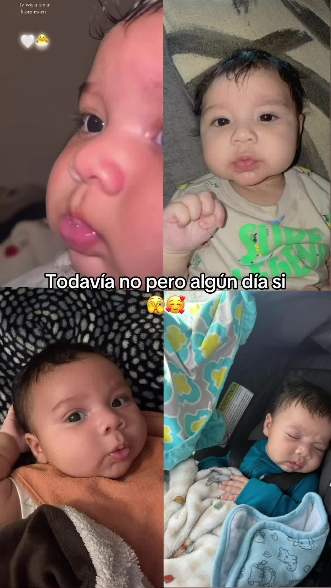 @rolitas502🇬🇹