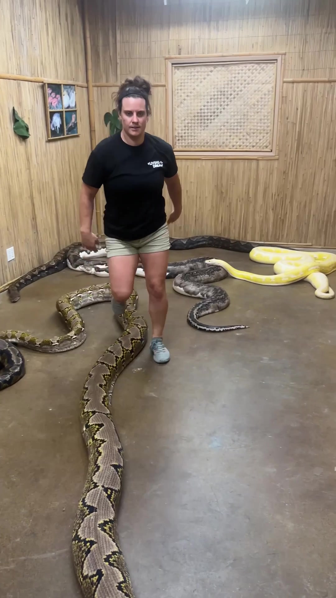 @The Reptile Zoo