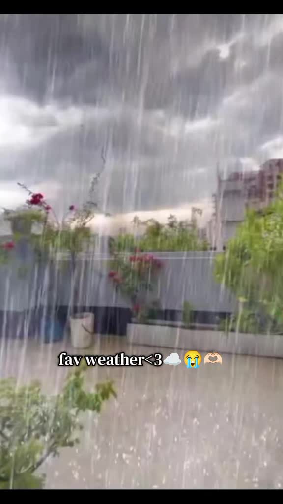 @โแฅซ๐ญ๐๐๐๐ฏ๐ท