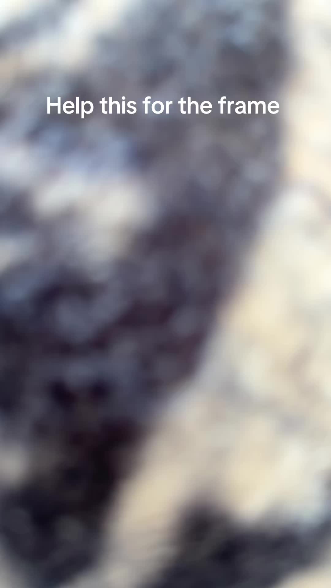 @౨ৎ ✪Hania✪ ౨ৎ