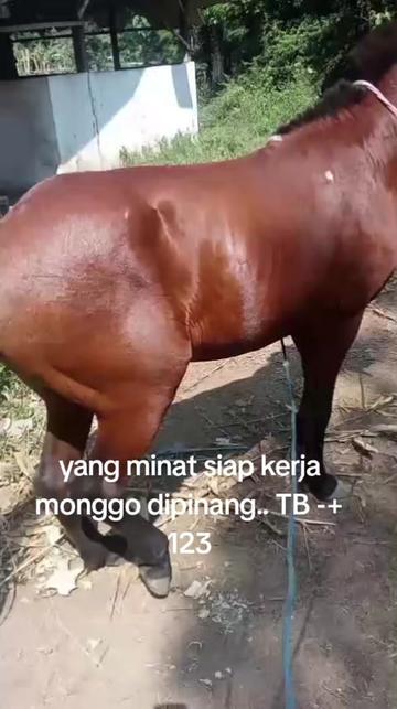 @🔥bAnG uCup SakErA🔥