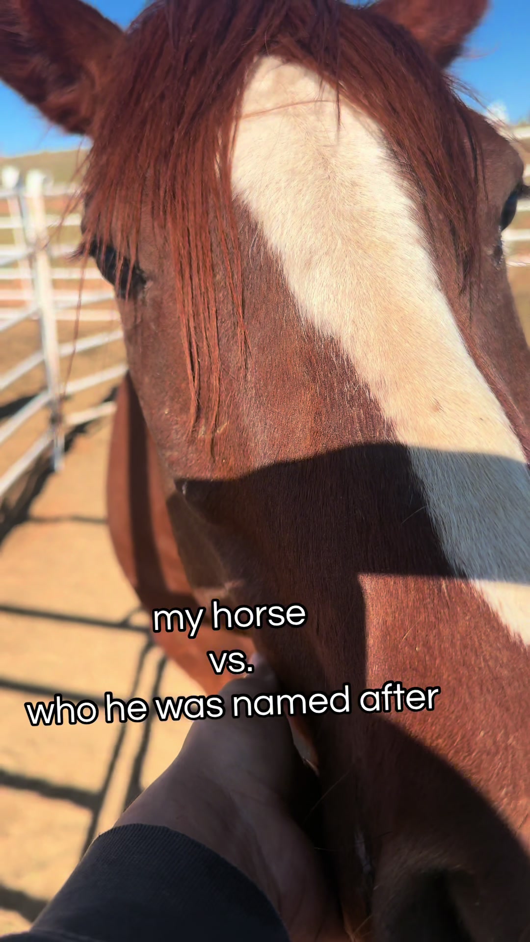 @Autumn Whitehorse