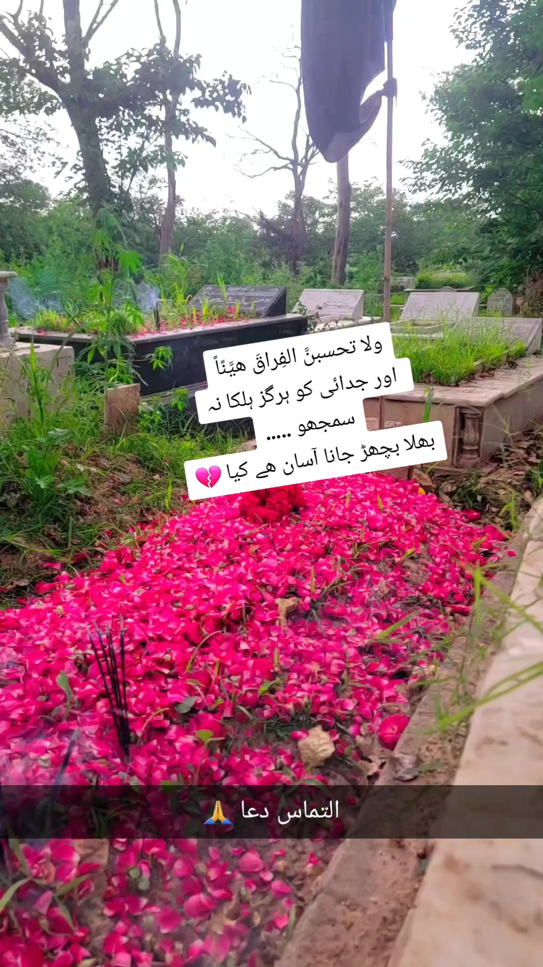 @aleemasoom