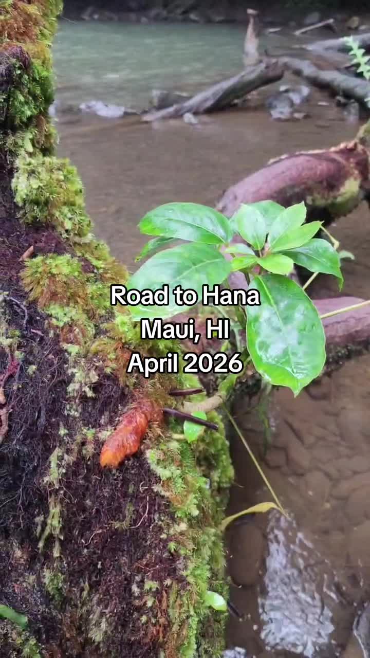 @Hike Maui