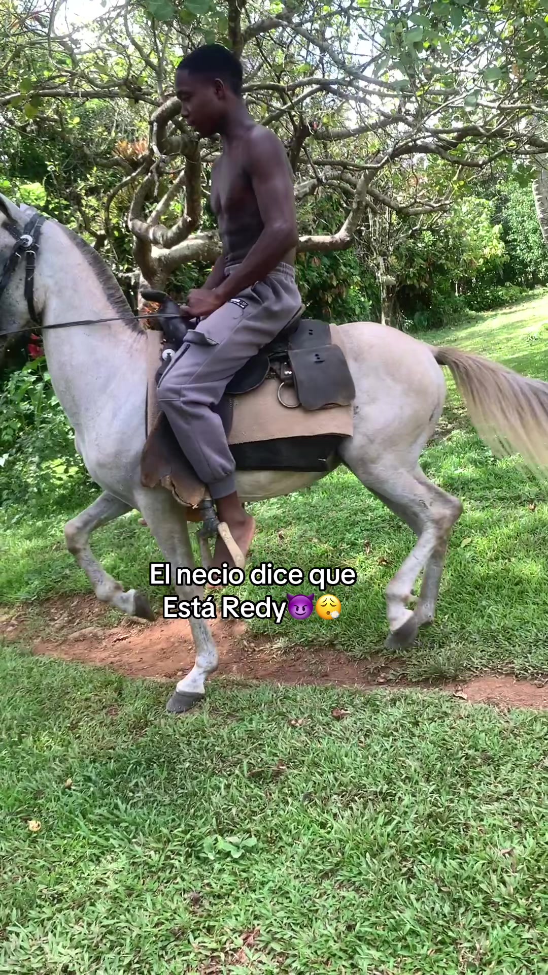 @Daniel 👾🩶