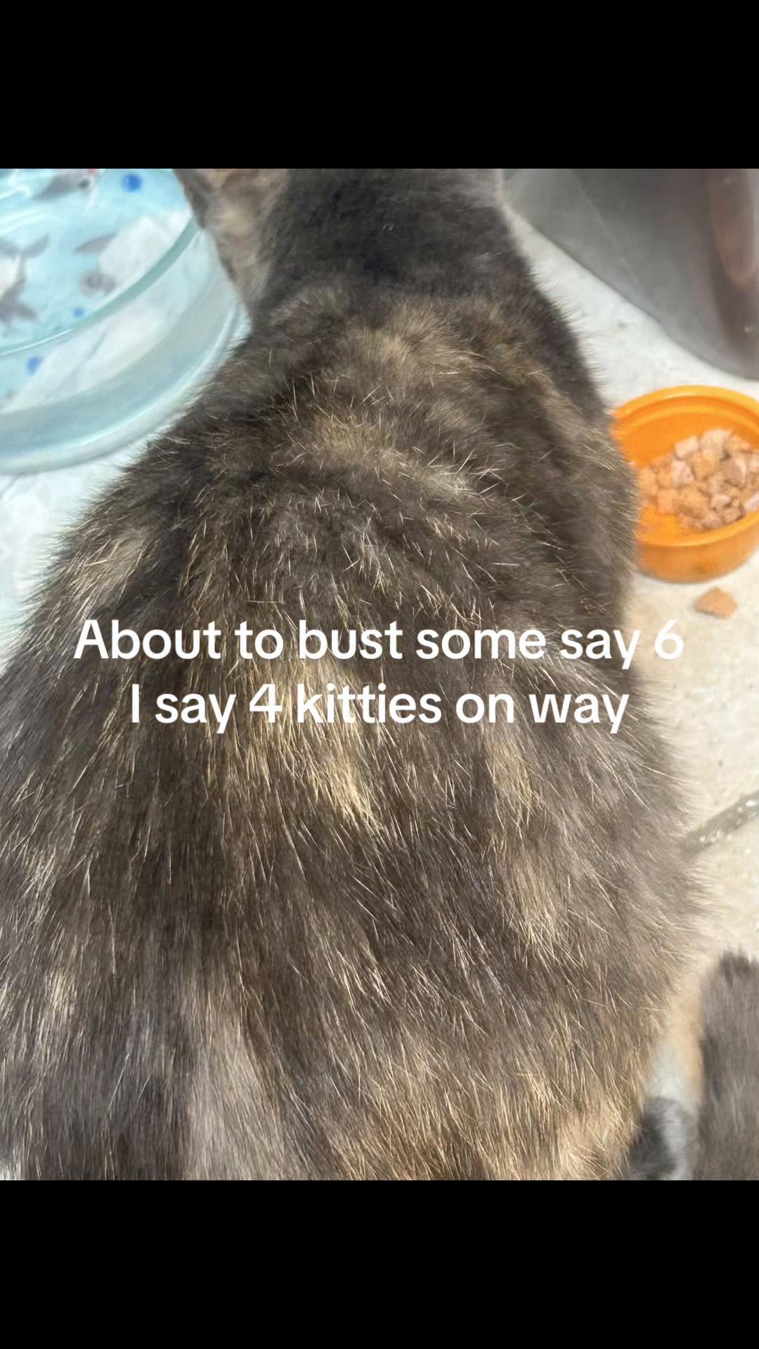 @PopRich336