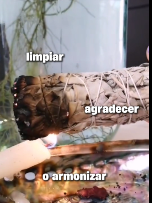 @Sentidos de la Vida