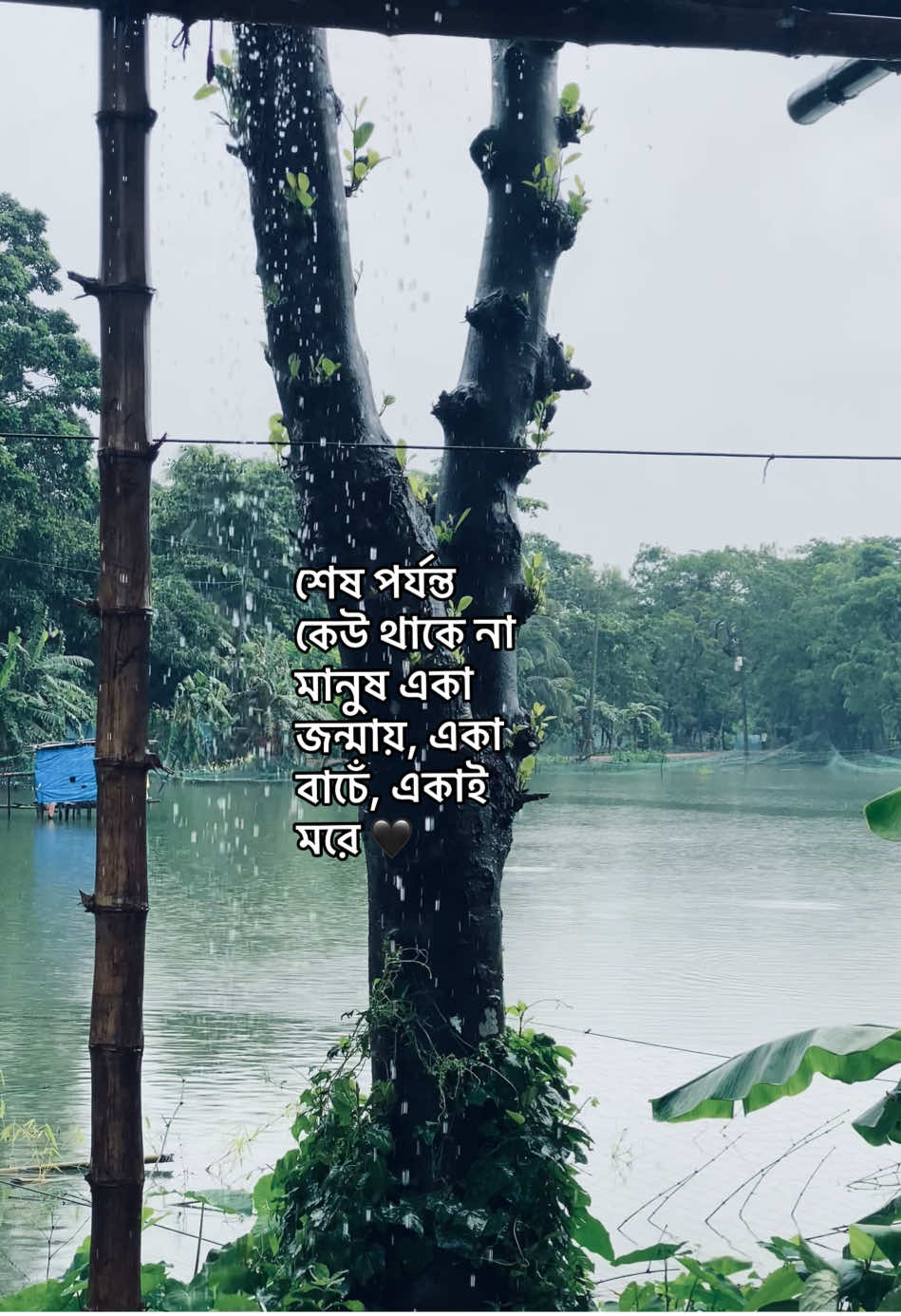 @_নিখোঁজ_