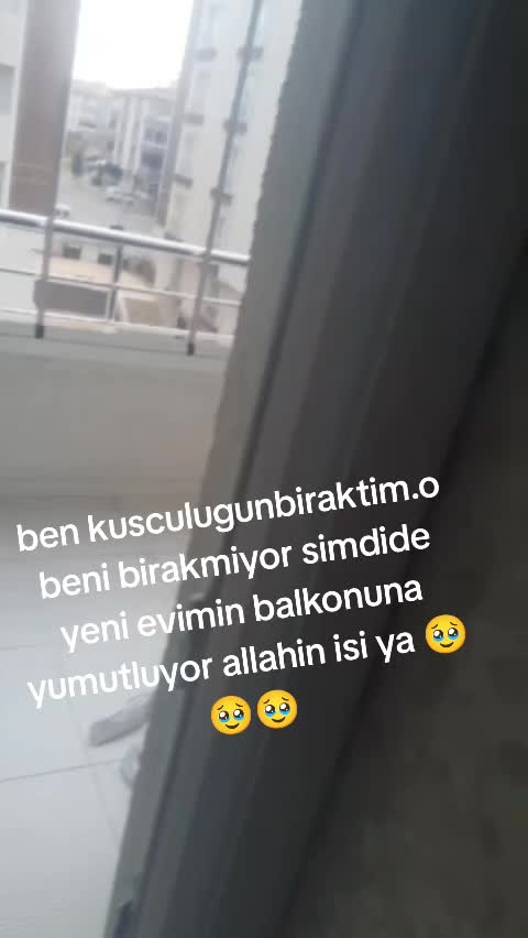 @🎲🎲oyunkusu.kirsehir40🎲🎲