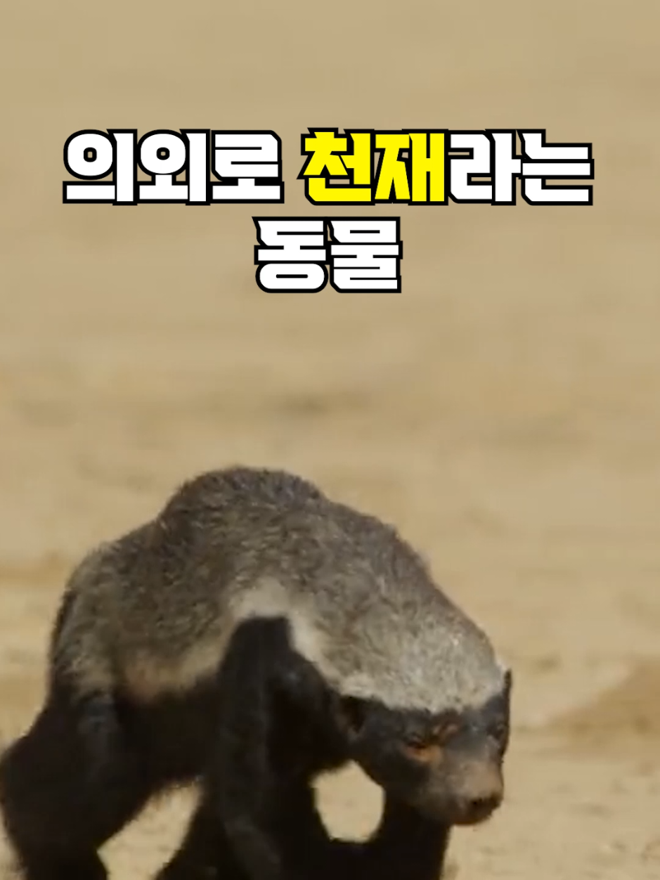 @뚝딱 상식 뚝배기
