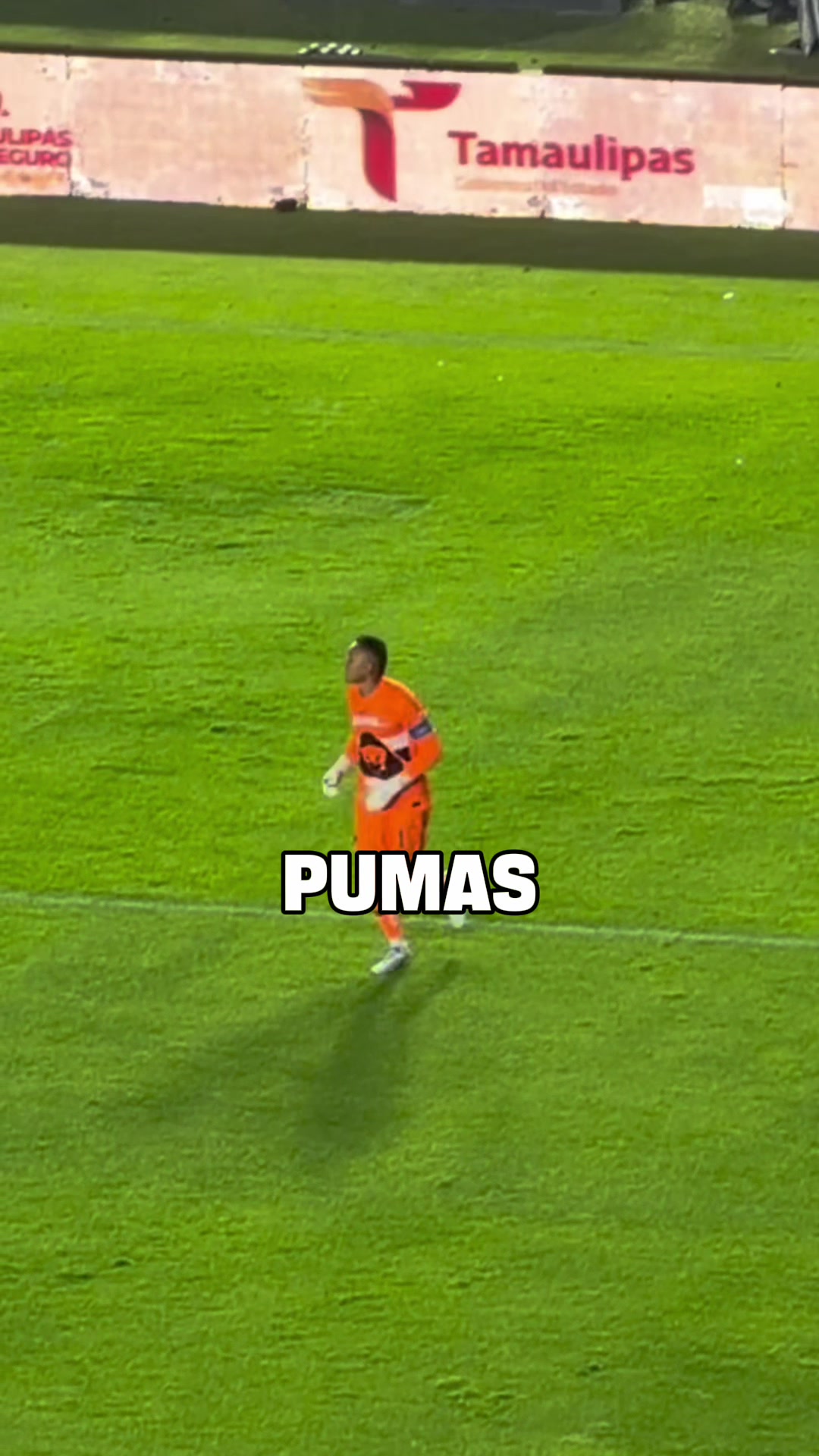 @Pedro Alem&aacute;n