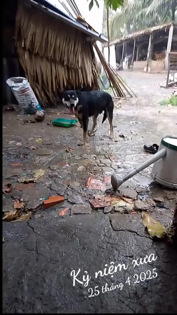 @Nguyễn Văn Hiền