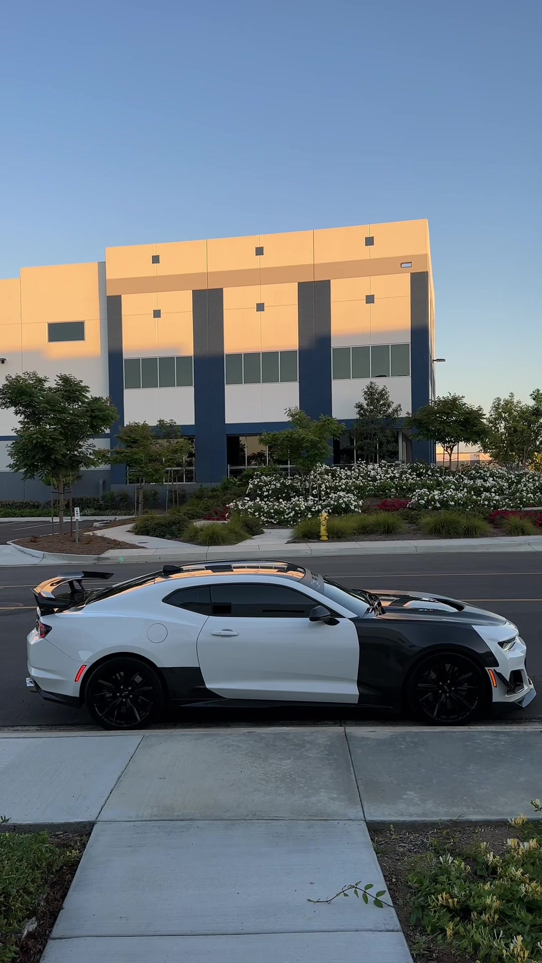 @SHHHZL1