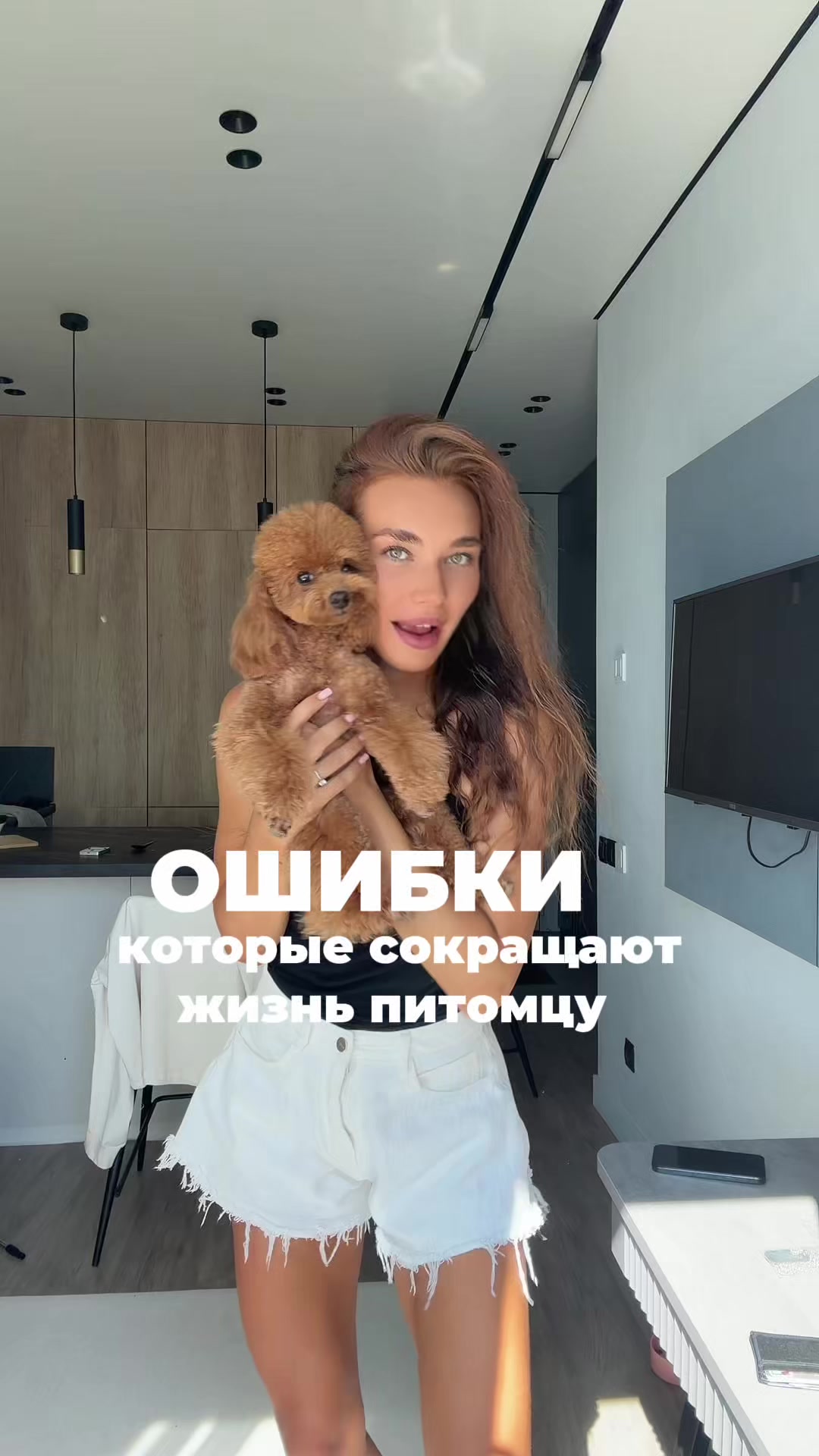 @beatrice_poodle