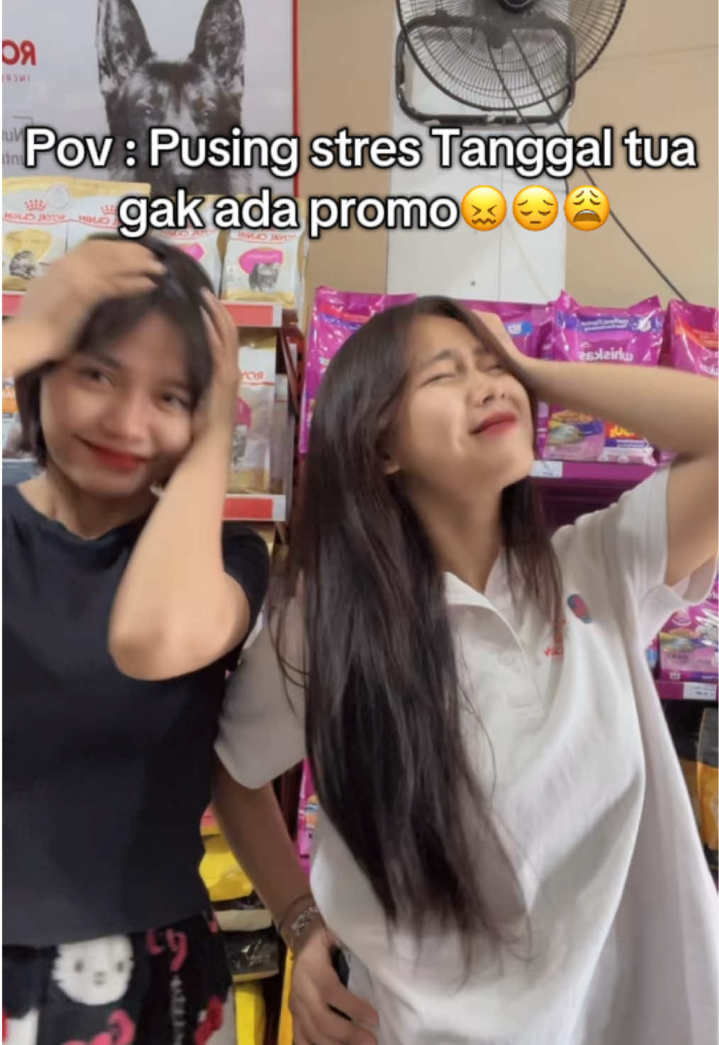 @harapanindopetnusantara