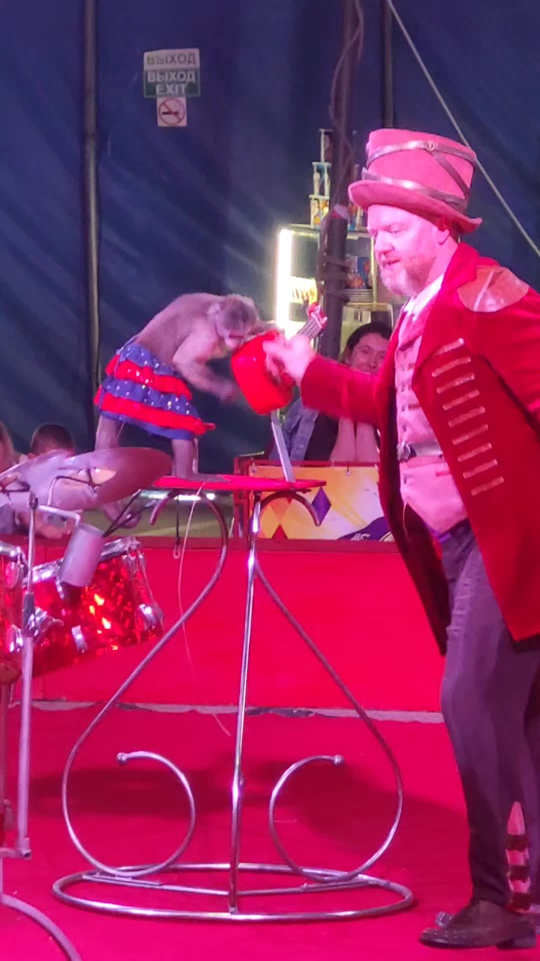 @Светик