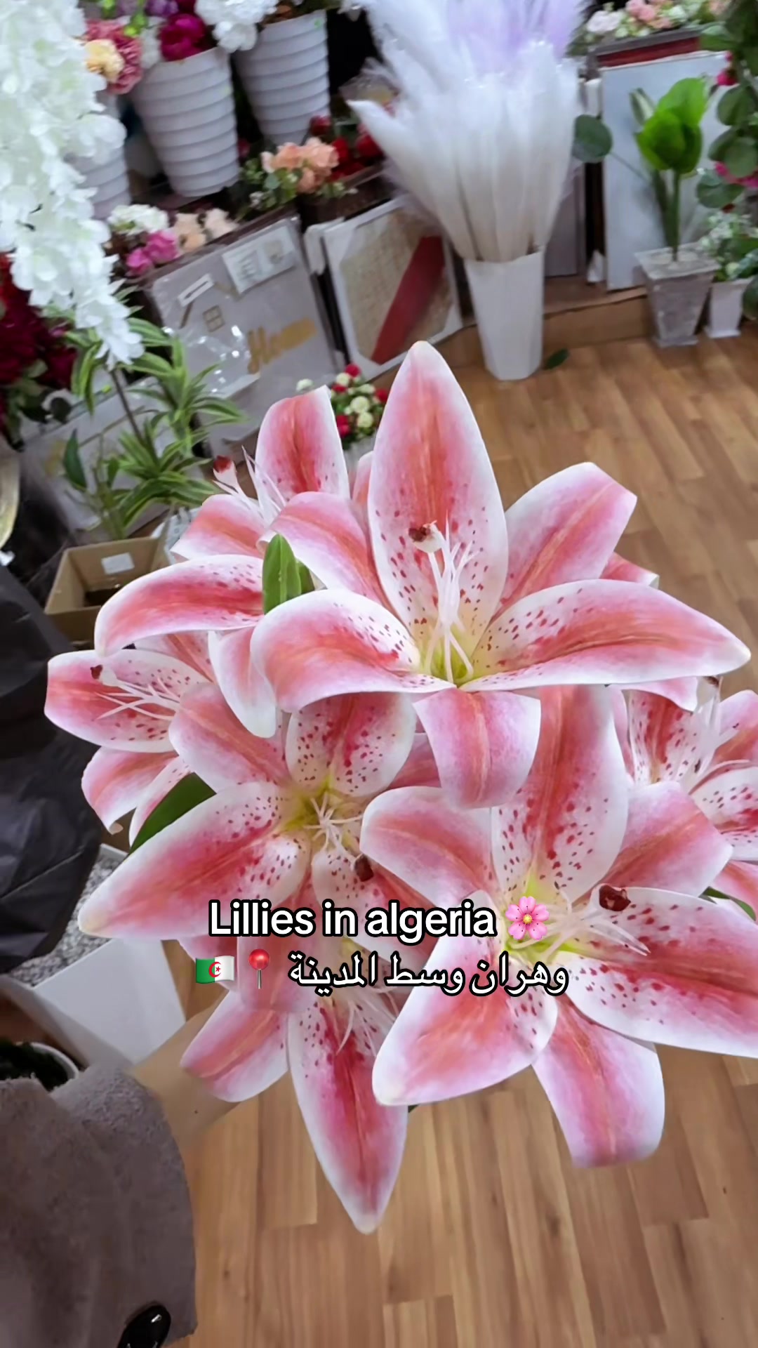 @Fleurs artificielles 🪷 oran