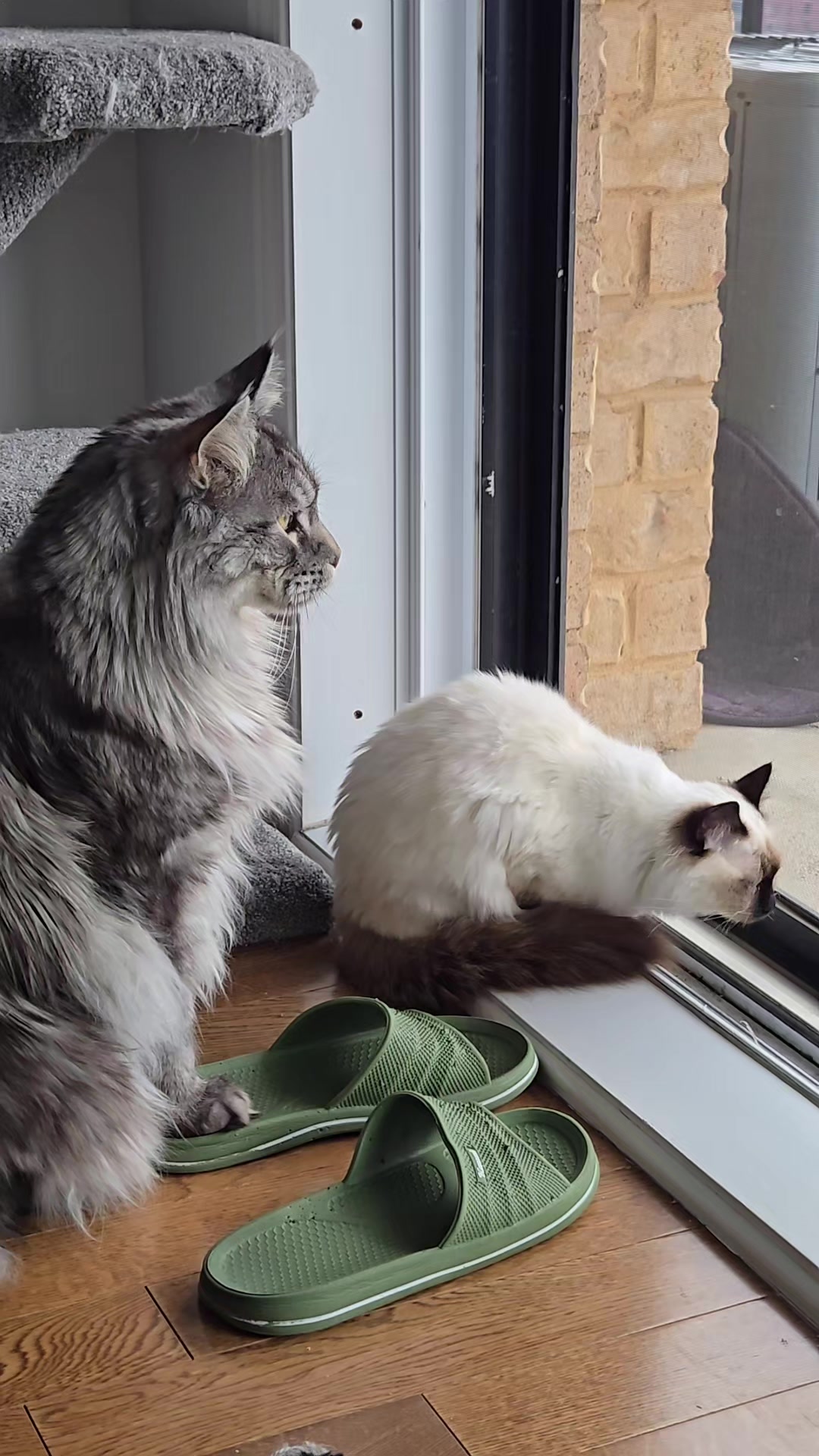 @Léo & Suki ♥️