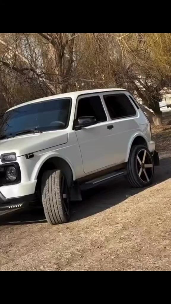 @lada__niva_dorjar