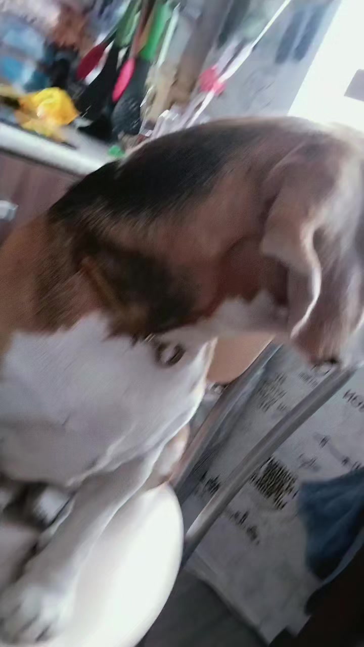 @Колян///