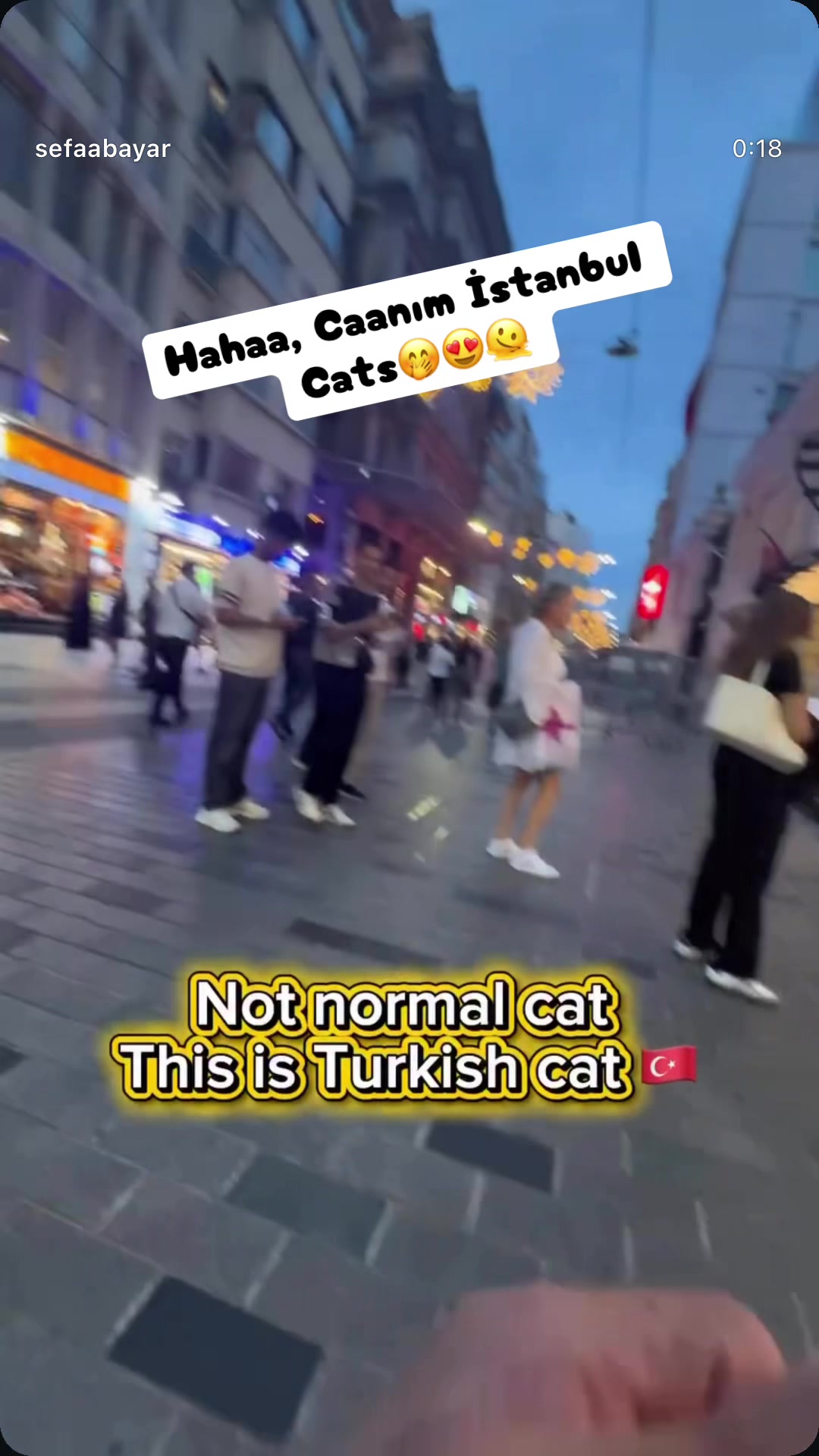 @Şapkalı Kadın