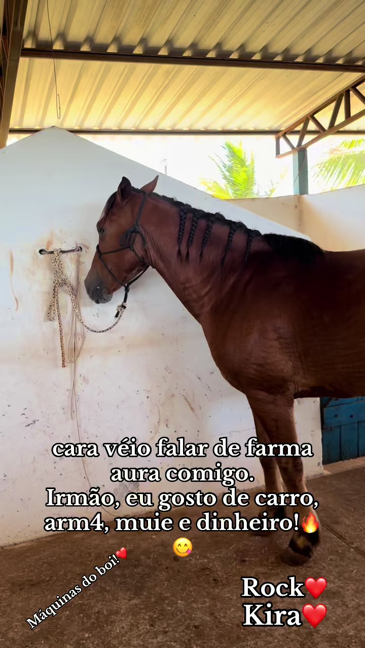 @mateusandrade9837