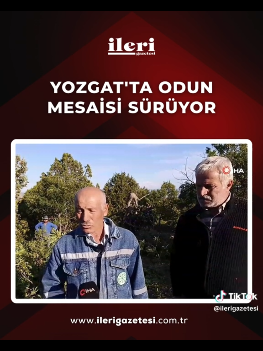 @mesut süzener