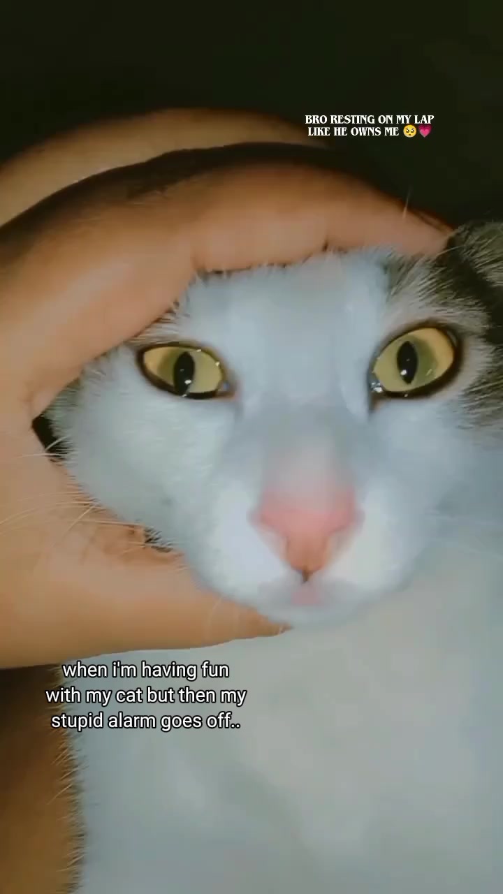 @๐ธ๐๐๐๐๐ช