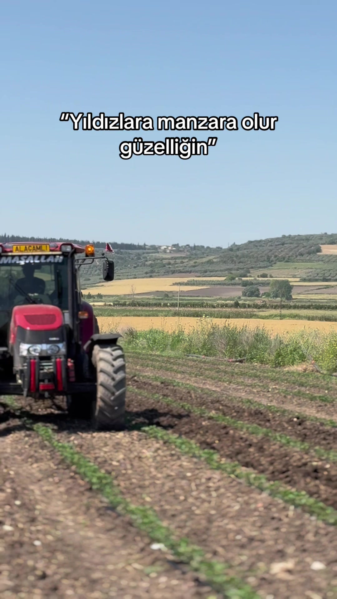 @gozde