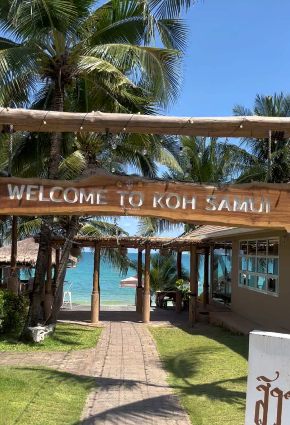 @🏝️ Magical Island Samui 🌴🍹