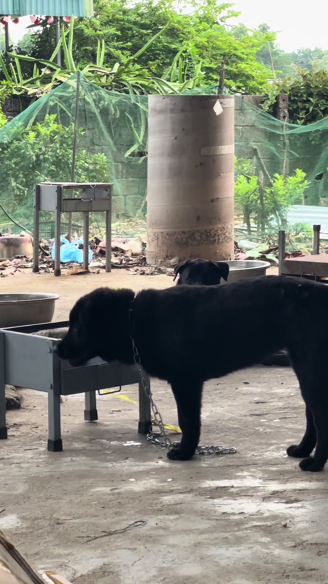 @Khi Nào Trắng Thì Đổi Tên(Đen)