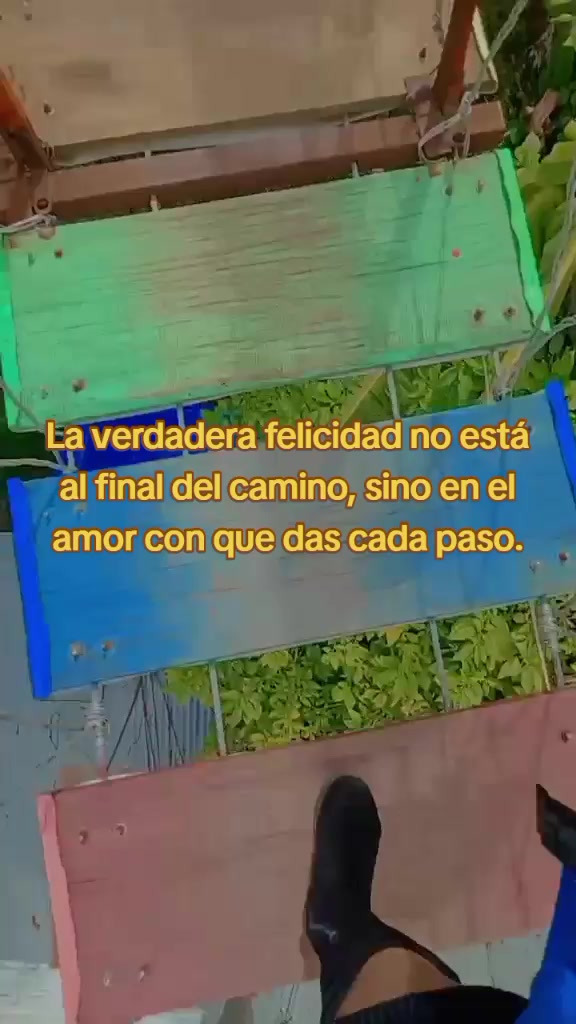 @❣️❣️❣️❣️❣️NOEM&Iacute;❣️❣️❣️❣️