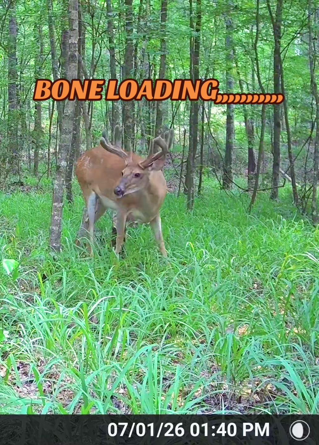 @🦌 Megabucks Outdoors 🦌