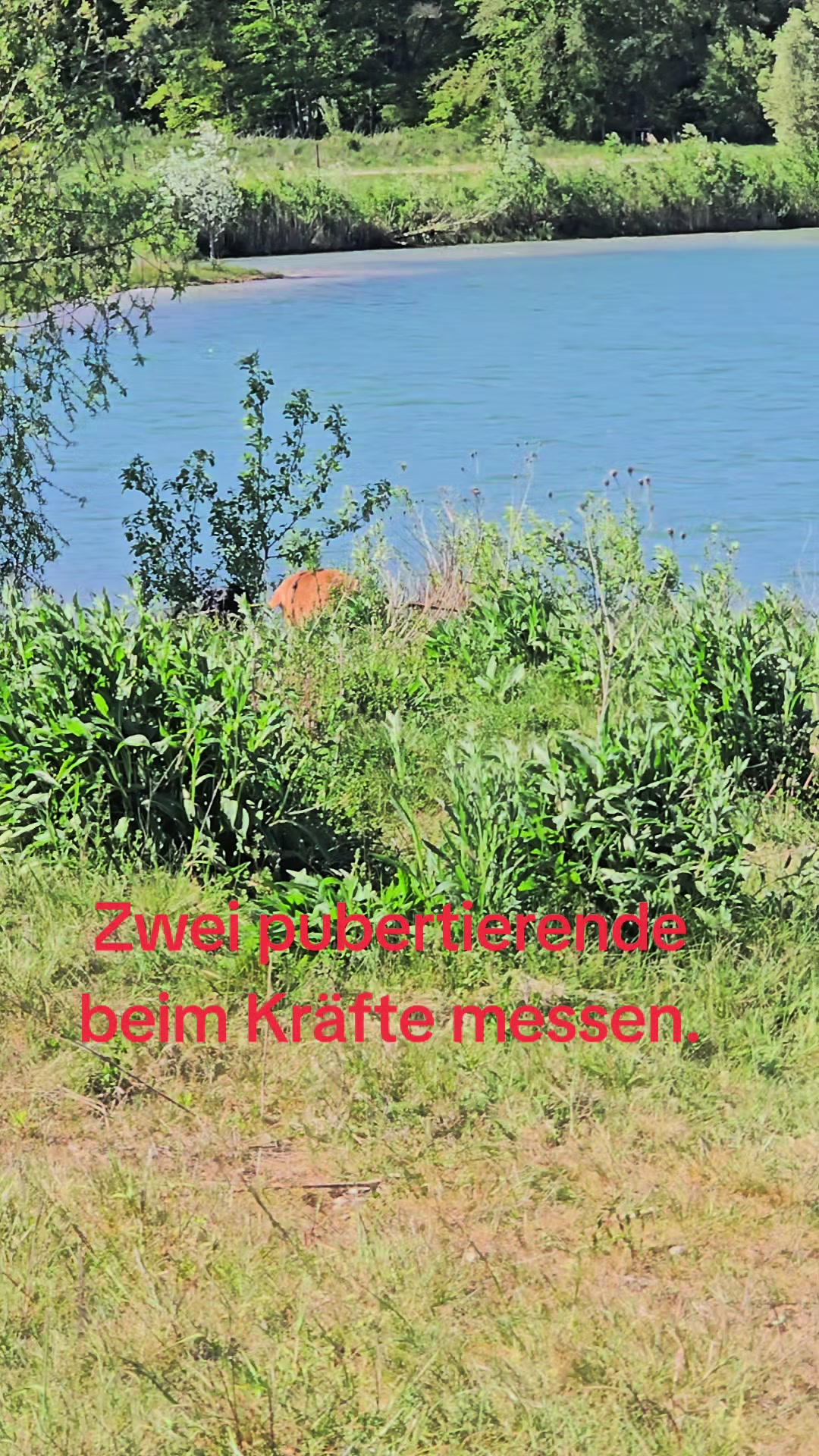 @AntonderBollerkopp